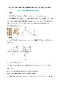 2024年中考数学真题分类汇编——重要的数学思想方法问题练习（含答案）