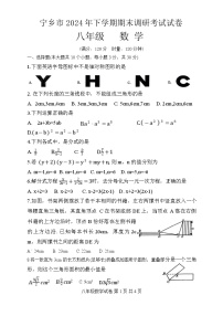 湖南省长沙市宁乡市2024-2025学年八年级上学期期末考试数学试卷(含答案)