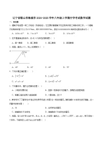 辽宁省鞍山市海城市2024-2025学年八年级上学期开学考试数学试卷(含解析)
