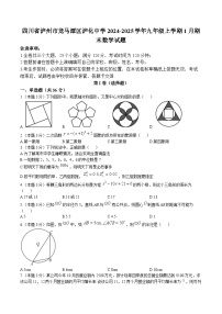 泸化中学2025届九年级上学期1月期末考试数学试卷(含答案)
