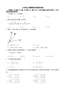 广东省广州市花都区2025年七年级上学期期末考试数学试卷附答案
