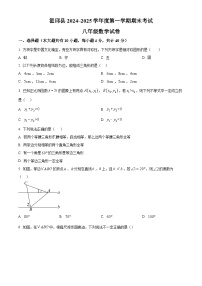 安徽省六安市霍邱县2024-2025学年八年级上学期1月期末数学试题