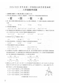 安徽省合肥市庐江县2024-2025学年八年级上学期期末数学试题