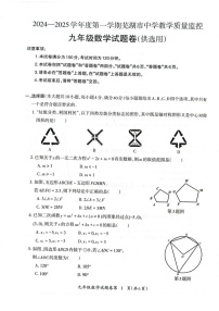 安徽省芜湖市2024-2025学年九年级上学期1月期末数学试卷