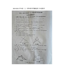 【八上HK数学】安徽省合肥市肥西县2024-2025学年八年级上学期1月期末数学试题