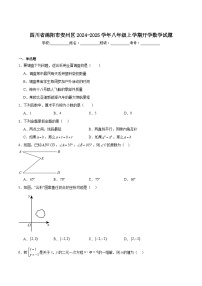 四川省绵阳市安州区2024-2025学年八年级上学期开学考试数学试卷(含解析)