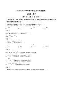 新疆伊犁哈萨克自治州2023-2024学年七年级上学期期末质量检测数学试卷(含解析)