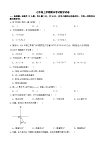 广东省广州市海珠区2025年七年级上学期期末考试数学试卷附答案