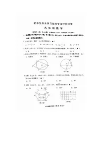 江苏省镇江市丹徒区2024-2025学年九年级上学期11月期中考试数学试题