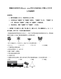 安徽省合肥市庐江县2025-2026学年九年级上学期12月月考数学试卷