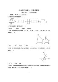 2025~2026学年山东省济南天桥区泺口实验学校九年级上学期12月份数学考试试卷（含答案）