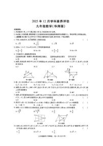 河南省南阳市唐河县2025-2026学年九年级上学期12月月考数学试题（PDF版，含答案）