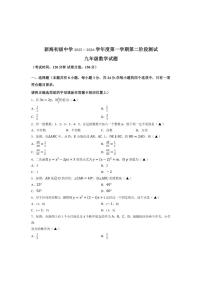 江苏省连云港市新海初级中学2025-2026学年上学期九年级第二次月考数学试卷(含简略答案)