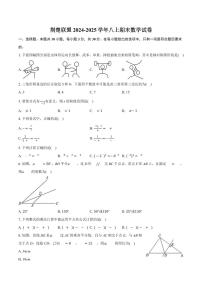 荆楚联盟2024-2025学年上学期期末八年级数学试卷（PDF版含答案）