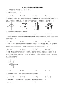 广东省肇庆地区2025年八年级上学期期末考试数学试题附答案