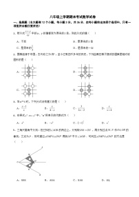 河北省石家庄市2025年八年级上学期期末考试数学试卷附答案