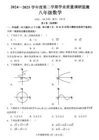 河北省邯郸市武安市矿山中学、伯延镇中学联考2024-2025学年八年级下学期7月期末考试数学试题
