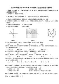 四川绵阳市实验中学2025年秋2023级第三次适应性练习数学试卷（无答案）