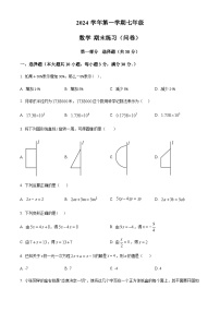 广东省广州市海珠区南武实验学校2024-2025学年七年级上学期期末数学检测试卷（含答案）