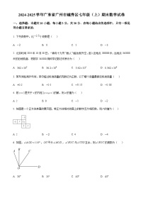 广东省广州市越秀区2024-2025学年七年级上学期期末考试数学试卷（含答案）