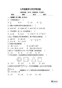 湖北省武汉市洪山区2025-2026学年上学期七年级数学12月月考试卷(,无答案)