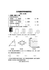 河南省郑州市桐柏一中教育集团2025-2026学年九年级上学期第二次月考数学试题（无答案）