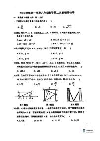 上海市第八初级中学2025-2026学年上学期八年级数学月考试卷（无答案）