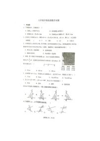 江苏省徐州市沛县树人学校联盟学区2025-2026学年七年级上学期12月月考数学试题（无答