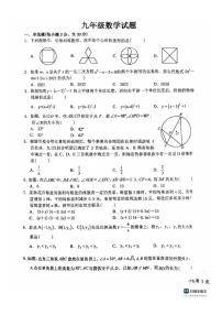 河南省省直济源沁园中学2025-2026学年上学期九年级数学12月月考试卷(,无答案)