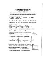江苏省徐州市树人初级中学2025-2026学年八年级上学期第二次月考数学试卷(,无答案)