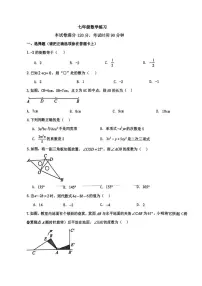 河北省石家庄市第二十八中学2025--2026学年上学期七年级数学12月月考试卷（无答案）