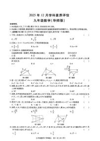 河南省南阳市唐河县2025-2026学年九年级上学期12月月考数学试题