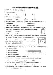 河南省郑州市枫杨外国语、金水区外国语、朗悦慧外国语等5校 2025-2026学年上学期八年级第二次月考数学试题