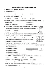 河南省郑州市枫杨外国语、金水区外国语、朗悦慧外国语等5校 2025-2026学年上学期八年级第二次月考数学试题