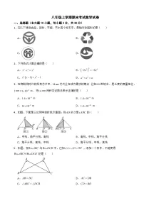广东省东莞市2025年八年级上学期期末考试数学试卷附答案