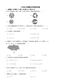 广东省湛江市2025年八年级上学期期末考试数学试题附答案