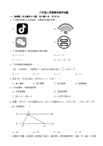四川省成都市2025年八年级上学期期末数学试题附答案