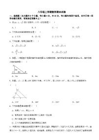 四川省成都市天府新区2025年八年级上学期数学期末试卷附答案