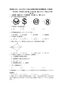 苏科版2025—2026学年八年级上册数学期末考试模拟卷（冲刺卷）