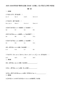 北京版（2024）七年级上册（2024）等式与方程精练