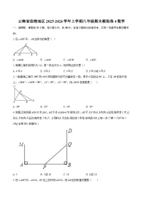 云南省曲靖地区2025-2026学年上学期八年级期末模拟卷4数学-自定义类型