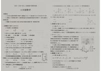 河南省平顶山市鲁山县2024-2025学年上学期八年级期中数学试卷