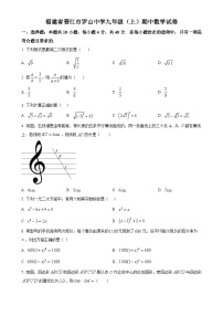 福建省泉州市晋江市罗山中学上学期九年级期中考试数学试卷 （原卷版）-A4