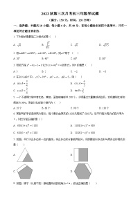 福建省泉州市南安市多校九年级上学期第三次月考数学试题（原卷版）-A4