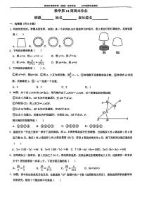 广东深圳外国语学校(集团)龙华学校 2025-2026学年上学期七年级数学14周周测试卷（月考）