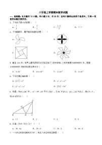 广东省韶关市2025年八年级上学期期末数学试题附答案