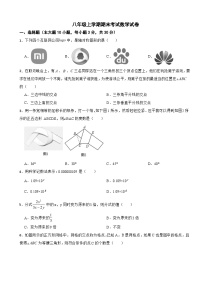 广东省湛江市廉江市2025年八年级上学期期末考试数学试卷附答案