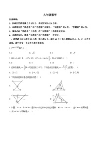 安徽省合肥市第四十中学2025-2026学年九年级上学期第三次月考数学试题
