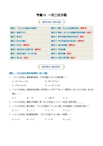 专题01 一元二次方程（期末复习专项训练，16个题型）九年级数学上学期人教版+答案