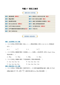 专题07 相似三角形（期末专项训练，13大题型）九年级数学上学期人教版+答案